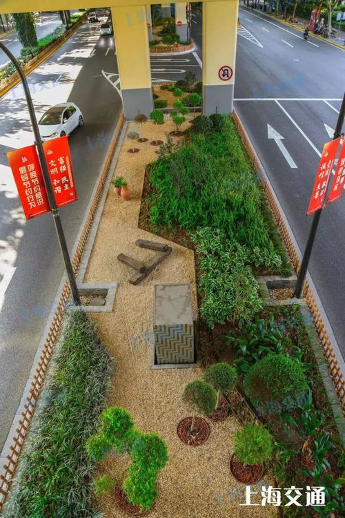 地鐵站被 森林 包圍 從空中可直達(dá)南外灘 上海這些交通設(shè)施 車站美出圈